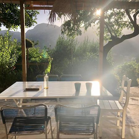 Sky Garden Mallorca - Ca'N Tomeu Bunyola Dış mekan fotoğraf