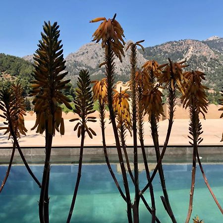 Sky Garden Mallorca - Ca'N Tomeu Bunyola Dış mekan fotoğraf