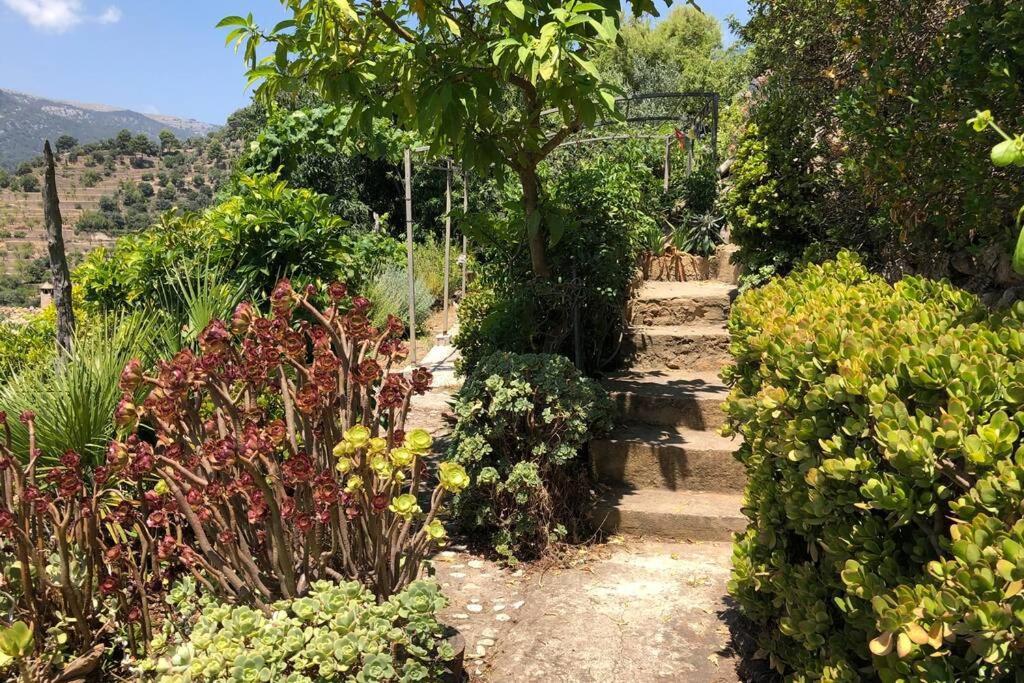 Sky Garden Mallorca - Ca'N Tomeu Bunyola Dış mekan fotoğraf