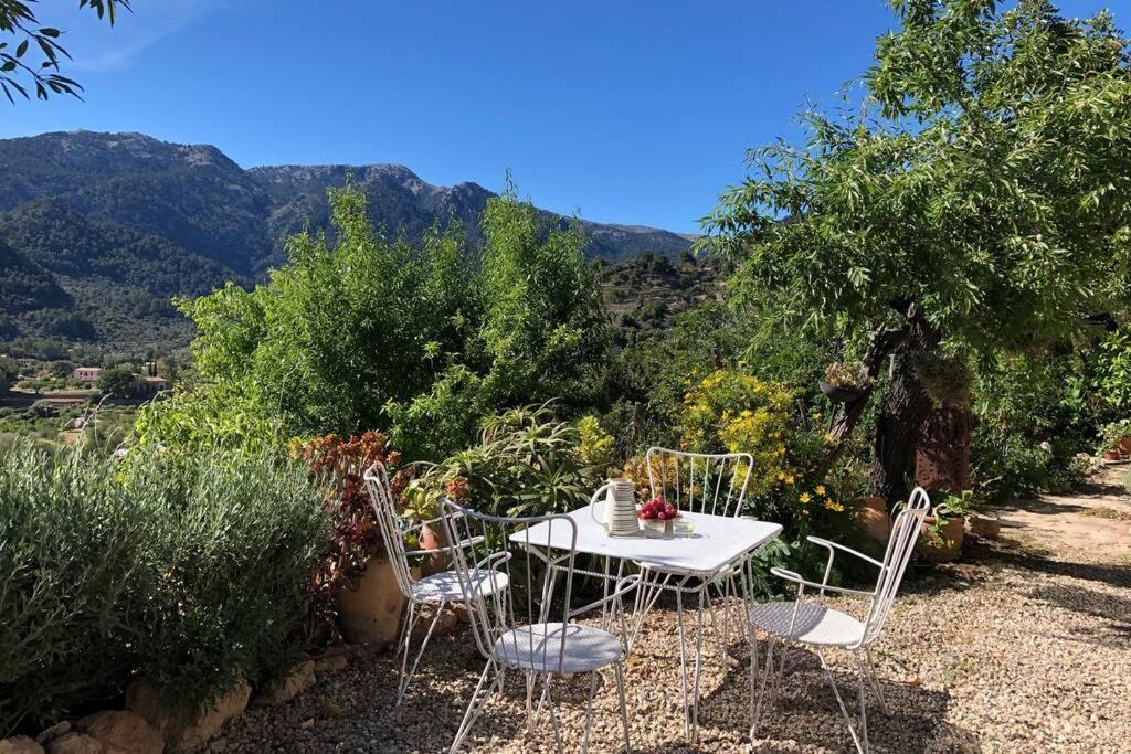 Sky Garden Mallorca - Ca'N Tomeu Bunyola Dış mekan fotoğraf