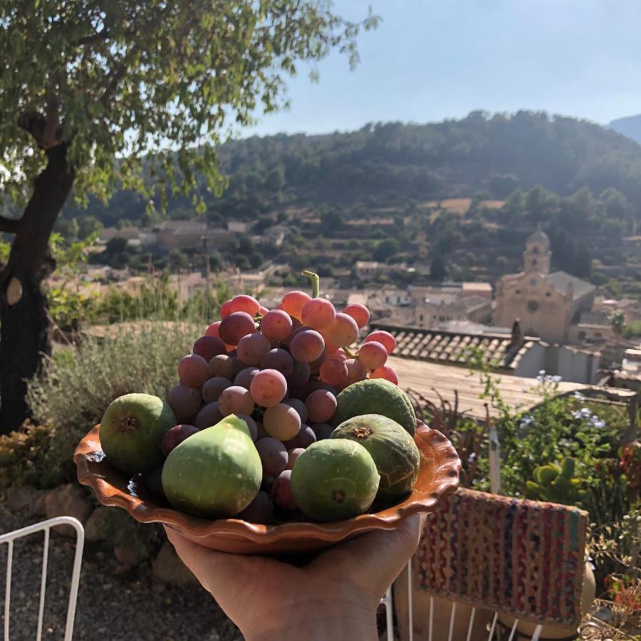 Sky Garden Mallorca - Ca'N Tomeu Bunyola Dış mekan fotoğraf