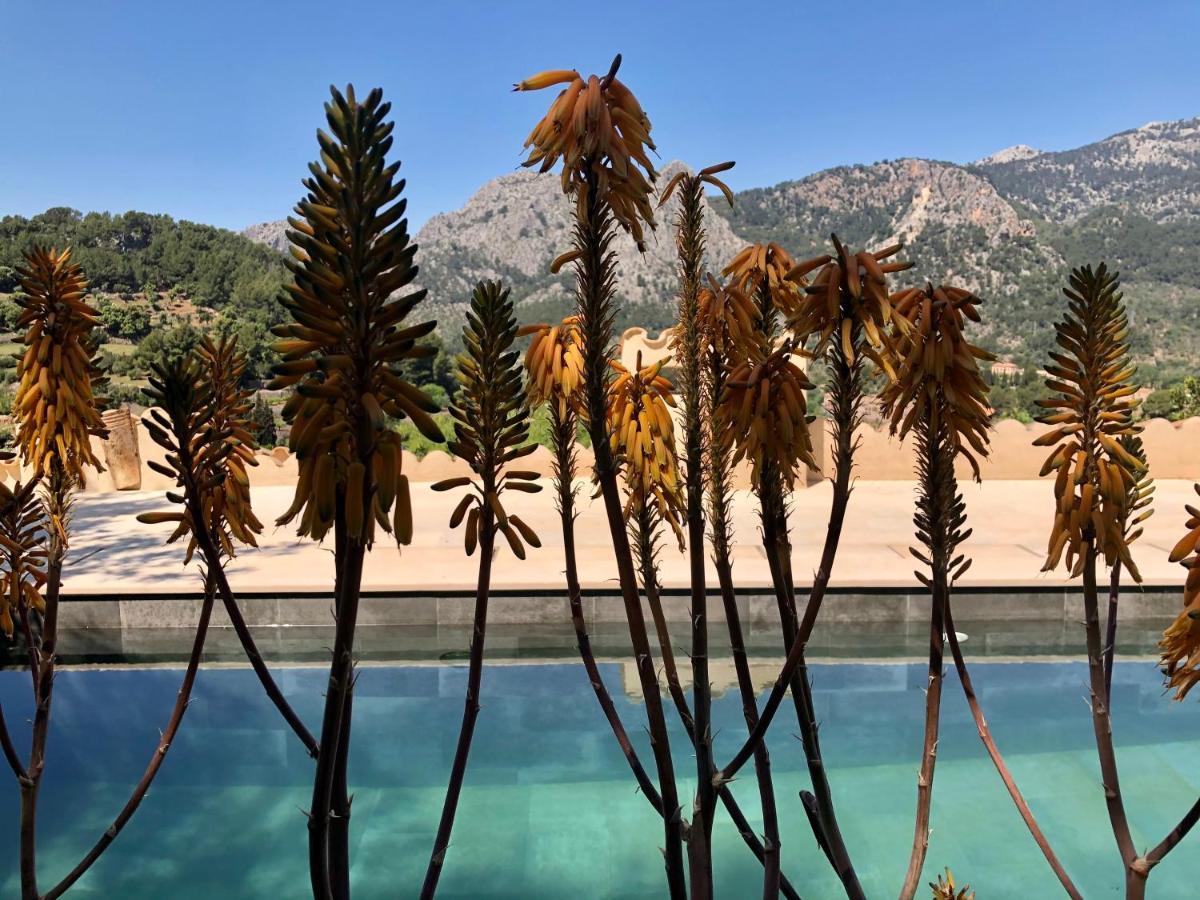 Sky Garden Mallorca - Ca'N Tomeu Bunyola Dış mekan fotoğraf